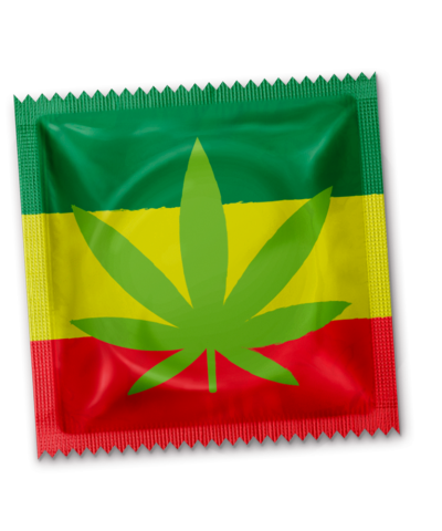 Cannabis Rasta