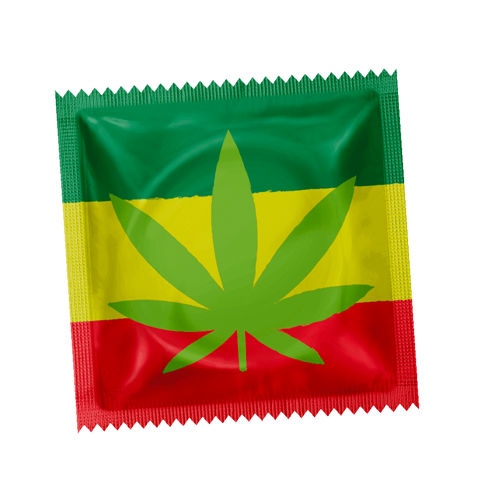 Cannabis Rasta